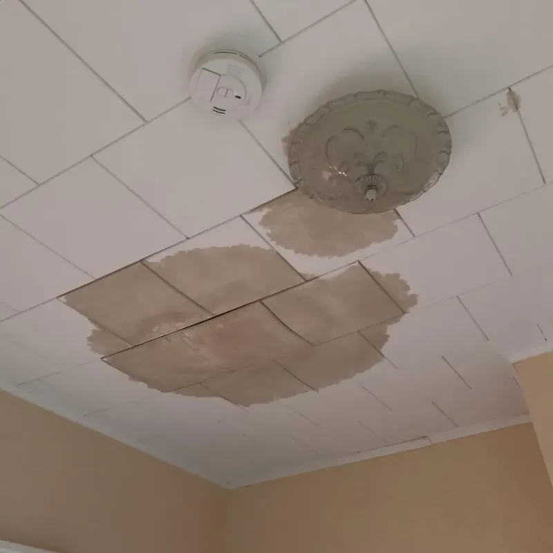 Ceiling Water Damage Repair in Fuquay-Varina, NC