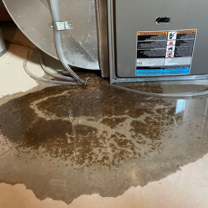Pipe Burst and Leak Restoration in Fuquay-Varina, NC